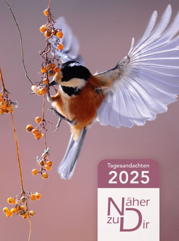 Näher zu Dir 2025 - Buchkalender Motiv Vogel