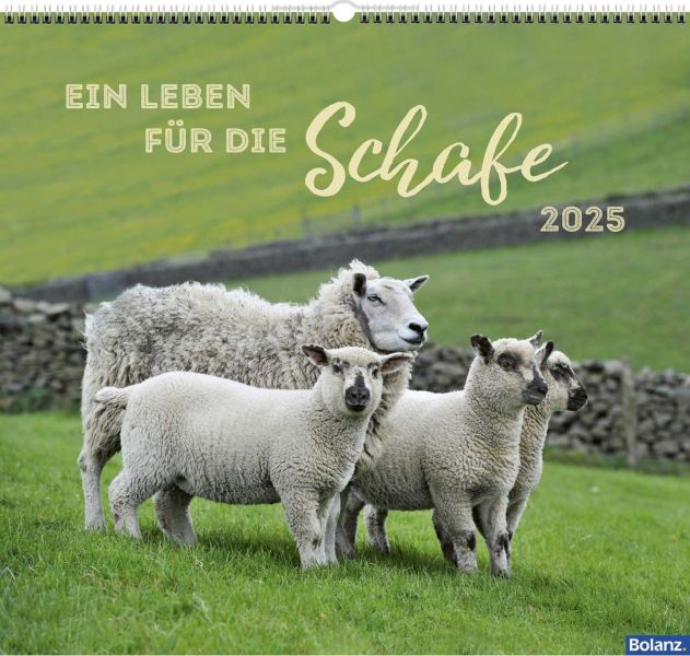 Ein Leben für die Schafe 2025 - Wandkalender