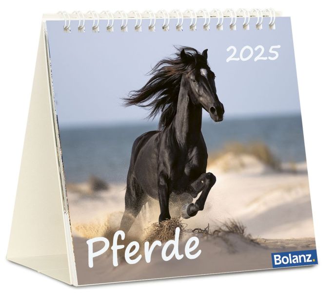 Pferde 2025 - Tischkalender