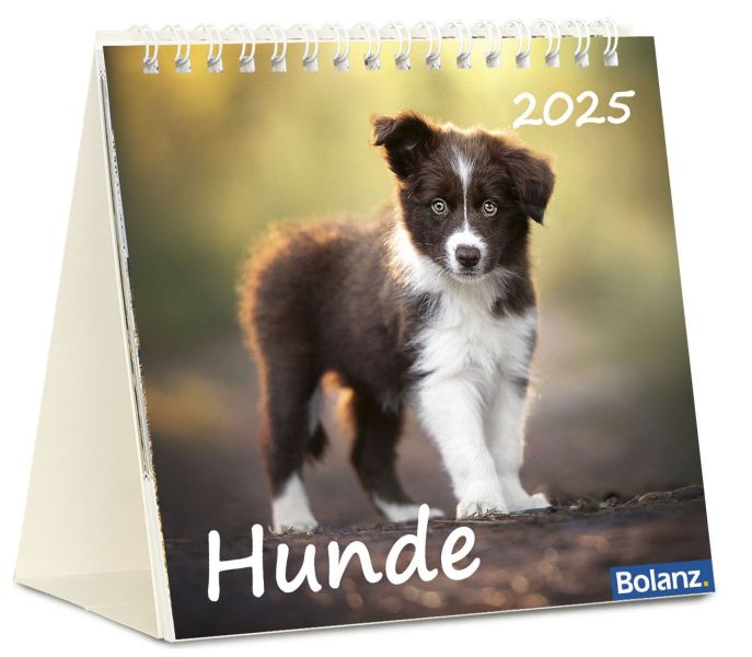 Hunde 2025 - Tischkalender