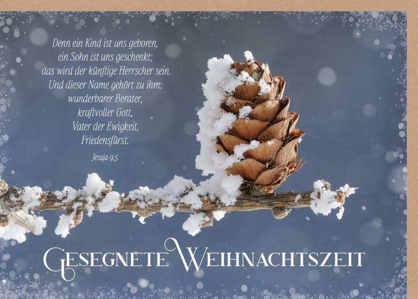 Faltkarte Gesegnete Weihnachtszeit - Tannenzapfen