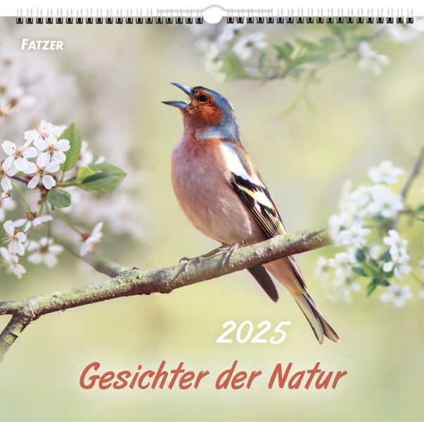 Gesichter der Natur 2025 - Wandkalender