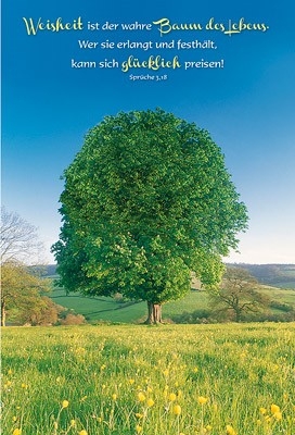 Faltkarte: Weisheit ist der wahre Baum des Lebens - neutral