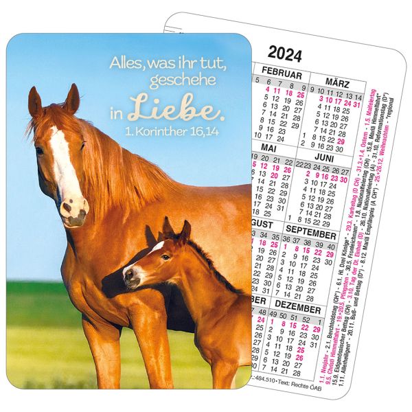 Jahreslosung 2025 - Spielkartenkalender Tier