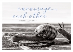 Encourage (Postkarte Black & White) VE 10